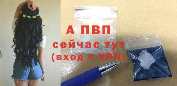 стафф Белокуриха